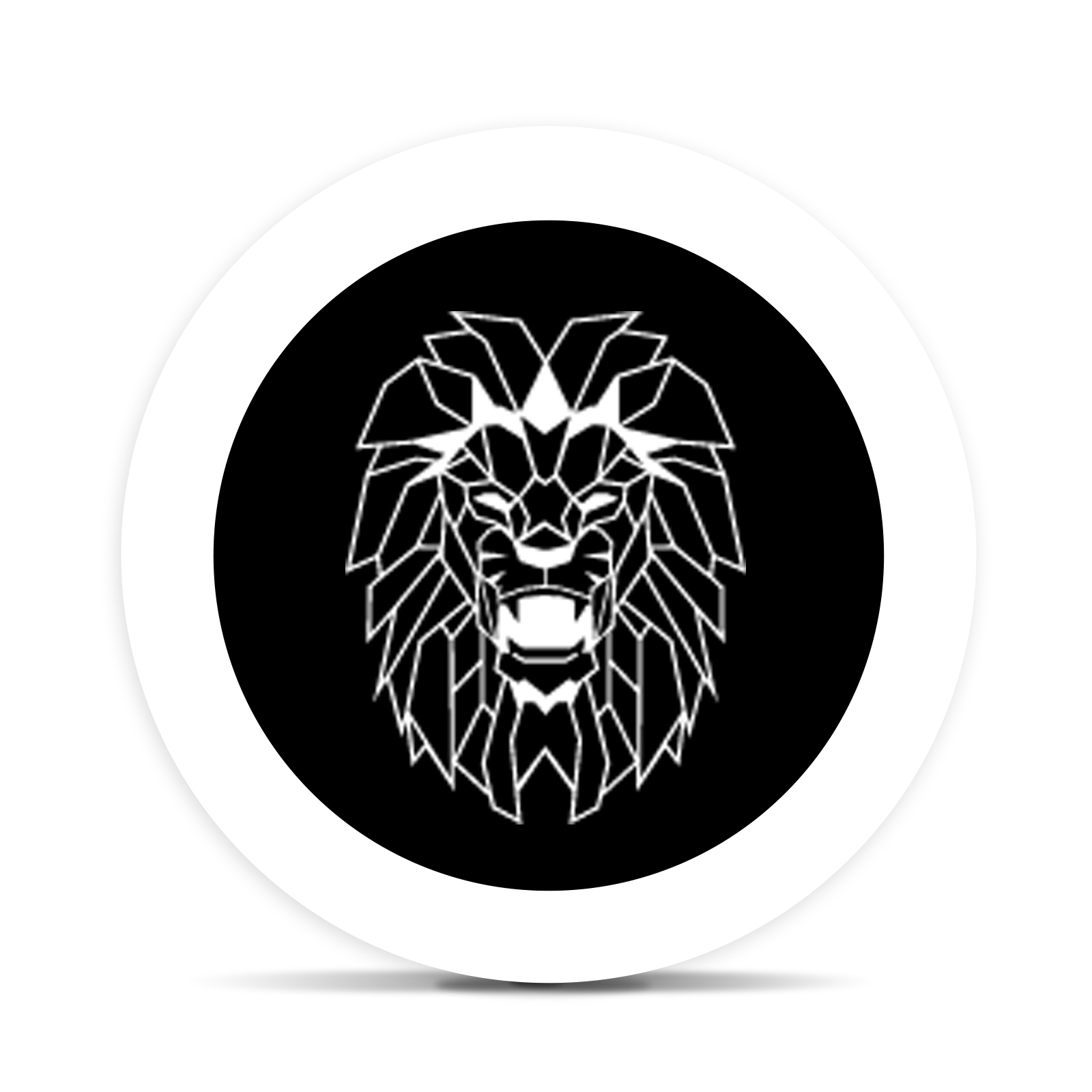 Logo for brandLogo: Roaring 20s