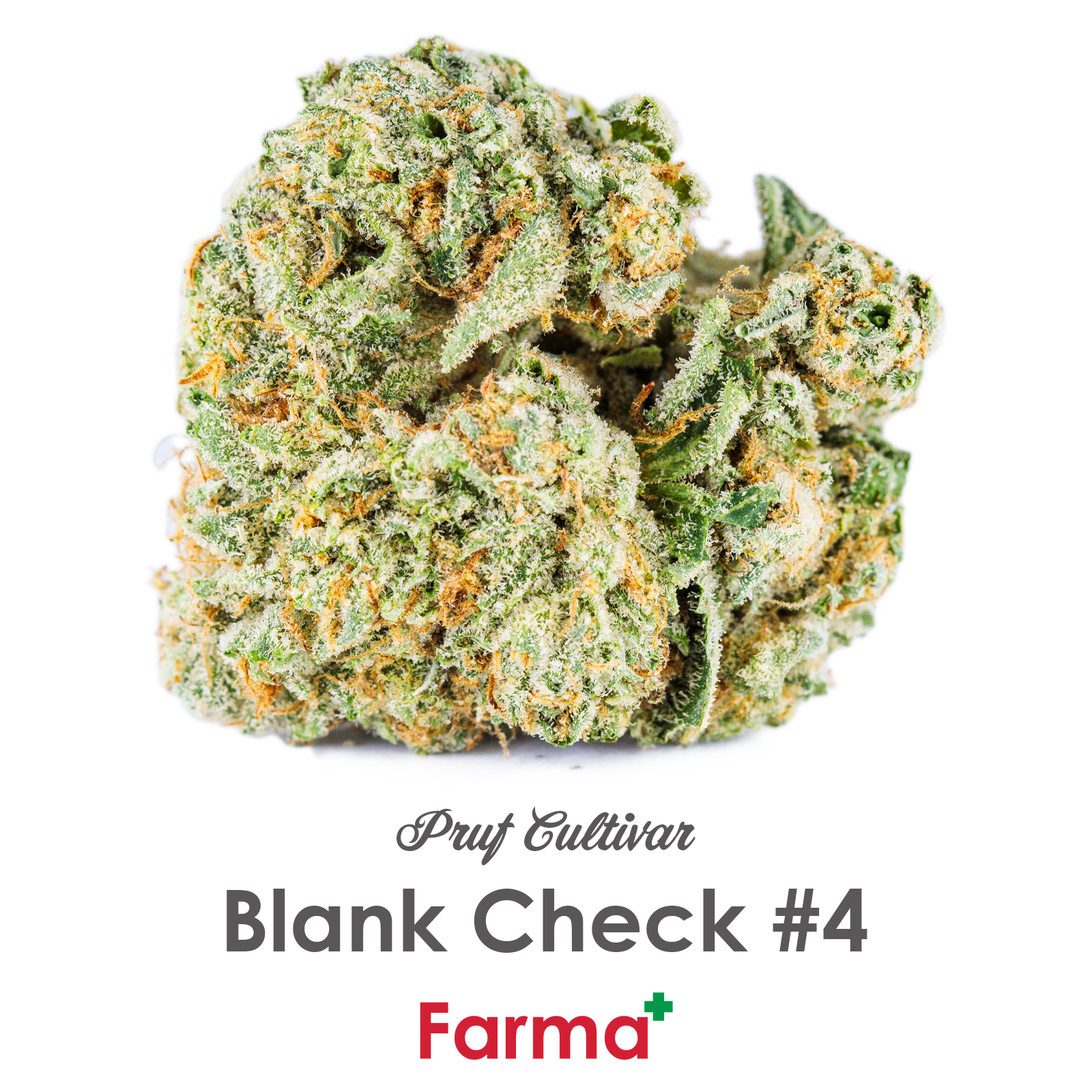 Photograph of product: Pruf Cultivar Blank Check #4 | - 28g