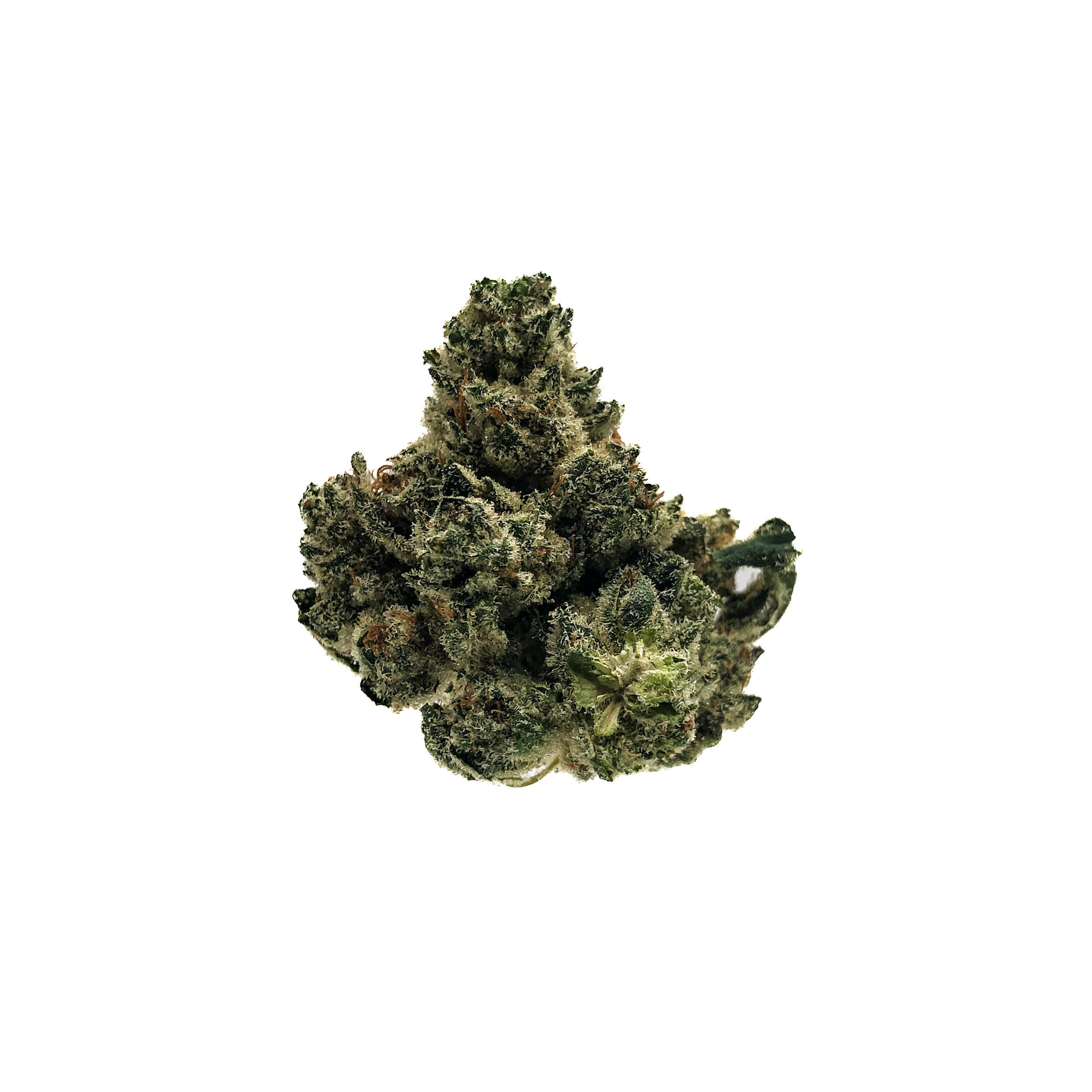Photograph of product: Hell Raiser OG |  | Fresh Packed - 28g