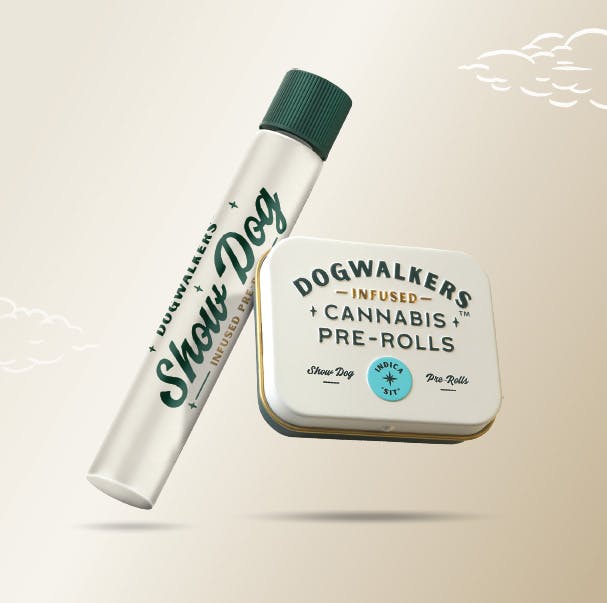 Photograph of product: KONG | 1G | INFUSED