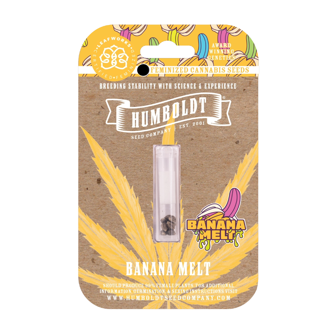 Photograph of product: HUMBOLDT SEED COMPANY - BANANA MELT FEMINIZED SEEDS 10 PACK