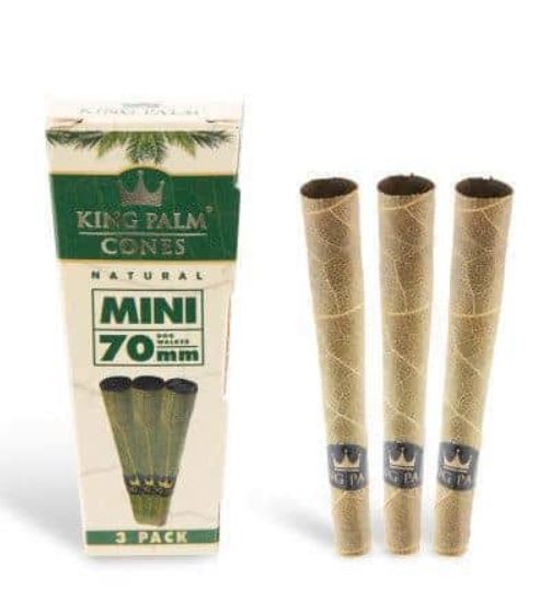 Photograph of Product: King Palm Cones