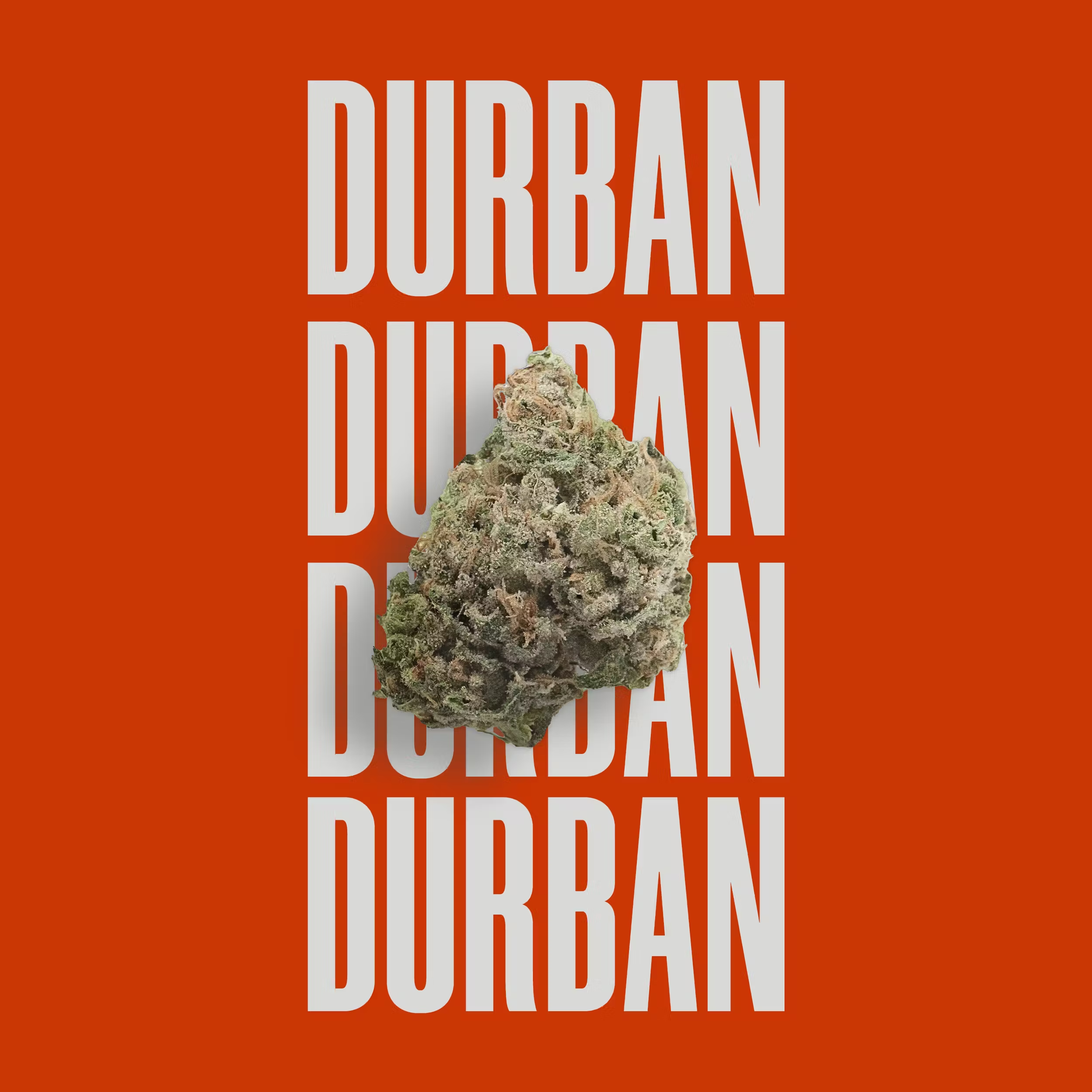 Photograph of product: Durban Whole Flower 3.5g