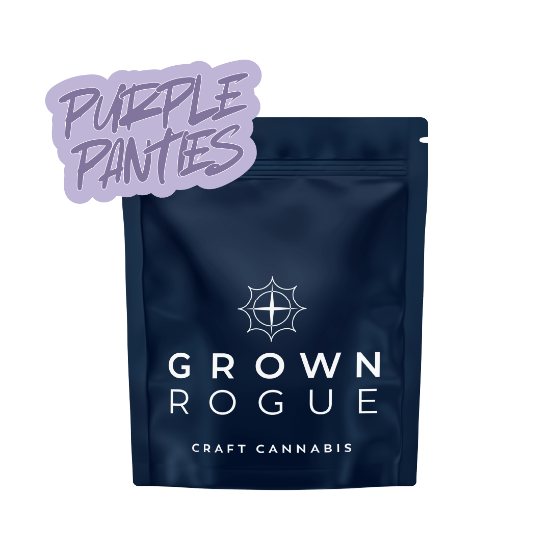 Photograph of product: Purple Panties | 7g