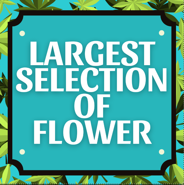 Photograph of product: Largest Selection Of Flower