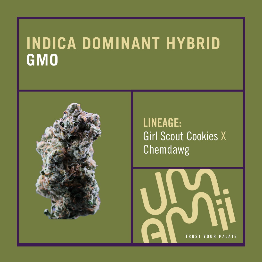 Photograph of Product: Umamii GMO - 3.5g