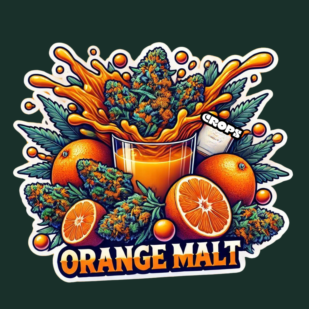 Photograph of product: Crops - Preroll - Orange Malt - 0.5g - 48 Pack