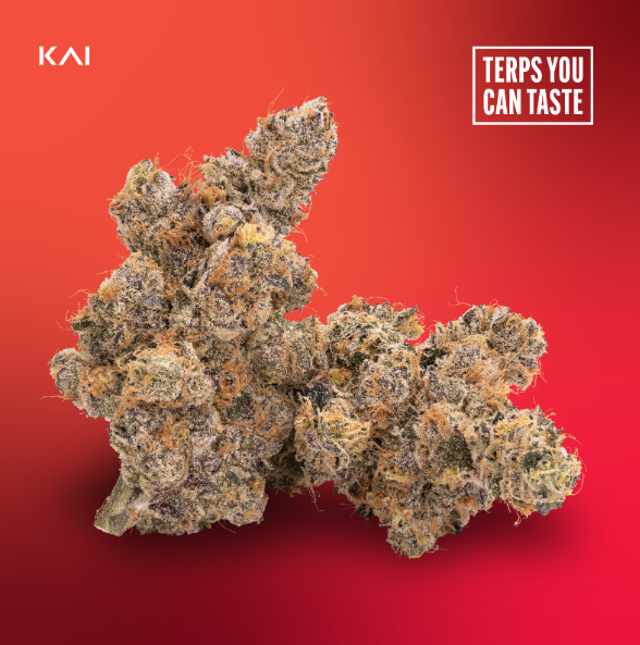 Photograph of product: Lemon Diesel | 14g | Pre-Packed | KAI Oui'd