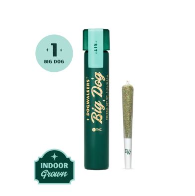 Photograph of product: Dogwalkers. | Cereal Milk #1 (H) | 1g Infused Big Dog