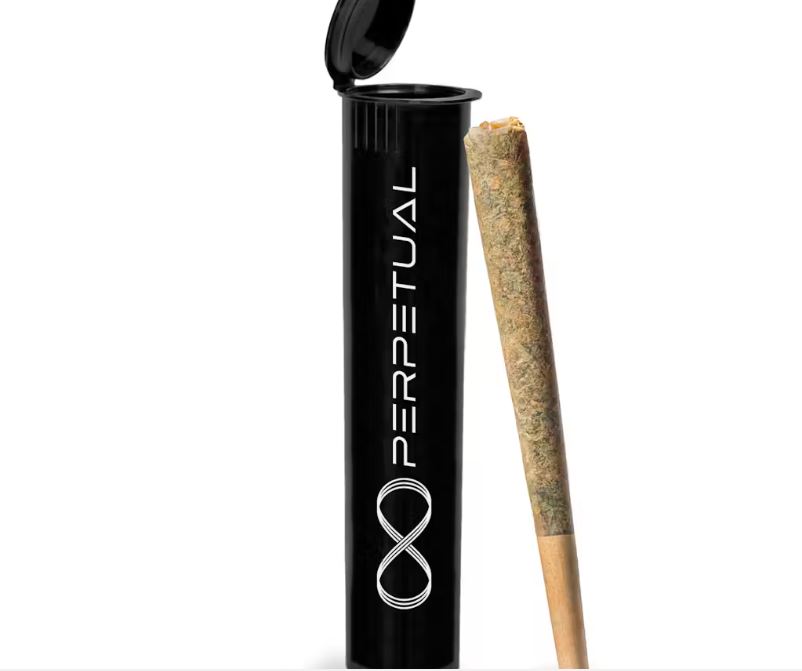 Photograph of product: Perpetual | Sherb BX | Pre Roll