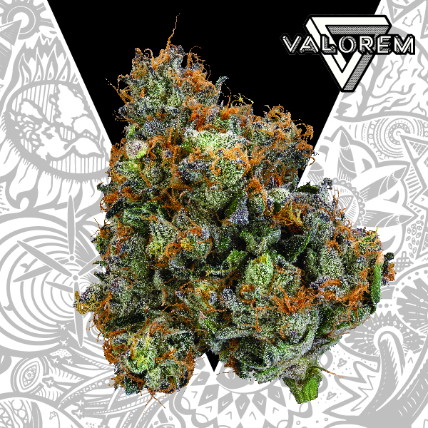Photograph of product: Valorem | Lava Cake | 3.5g Flower