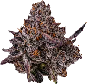 Photograph of product: Oreoz Pre-roll (Hybrid) | North East Alternatives