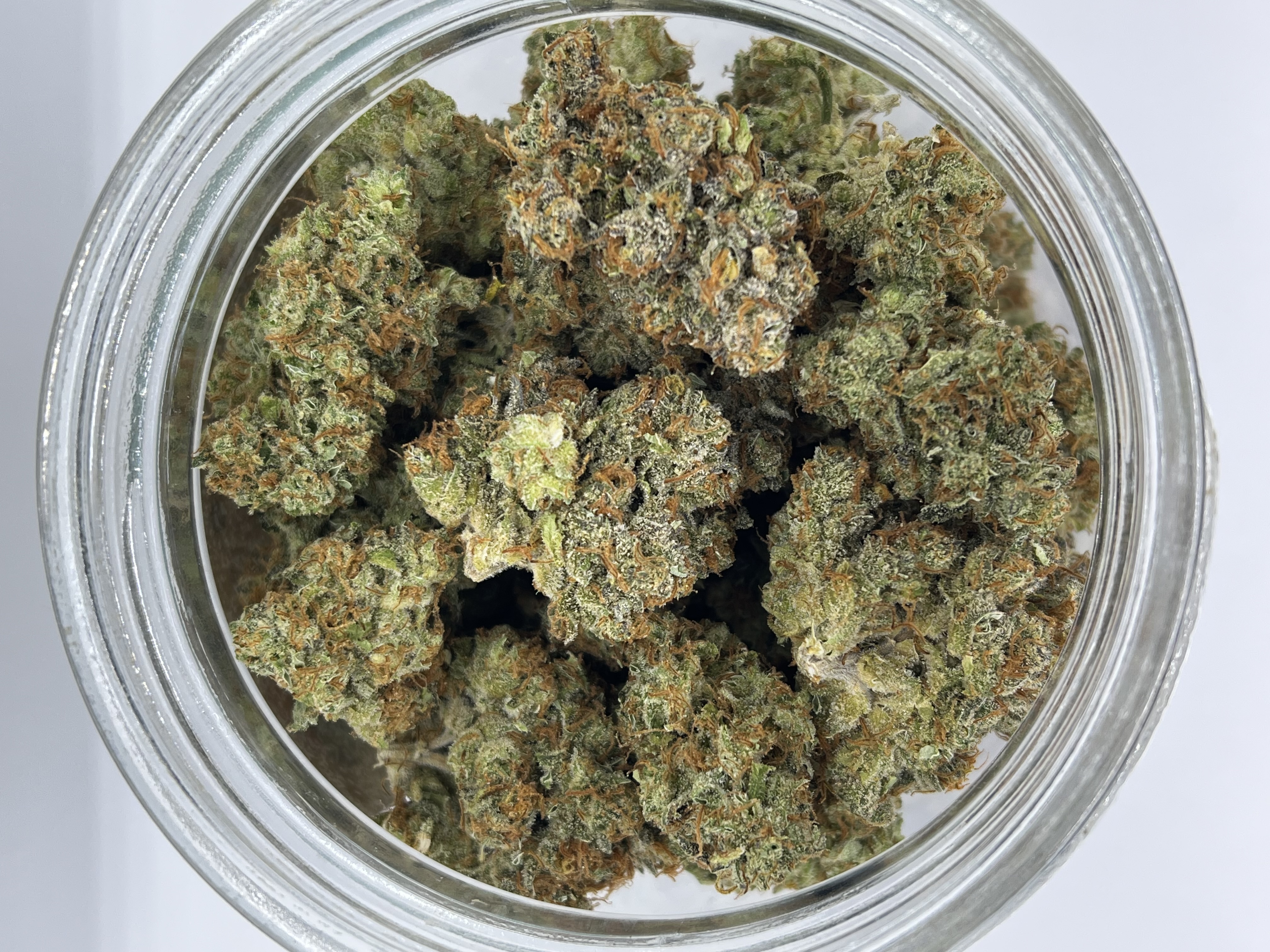 Photograph of product: Pineapple Princess | Harvested: 02/26/2025 - 14g
