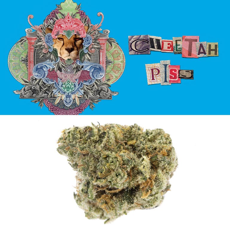 Photograph of product: Cookies: Cheetah Piss - 14g