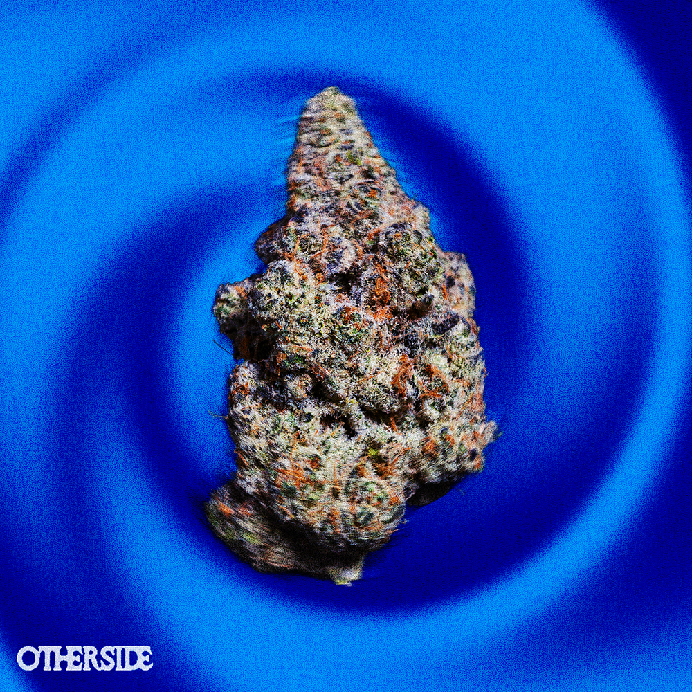 Photograph of product: Flower | Otherside | Platinum Cake - 7g