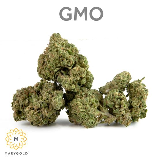 Photograph of product: GMO 3.5g - 