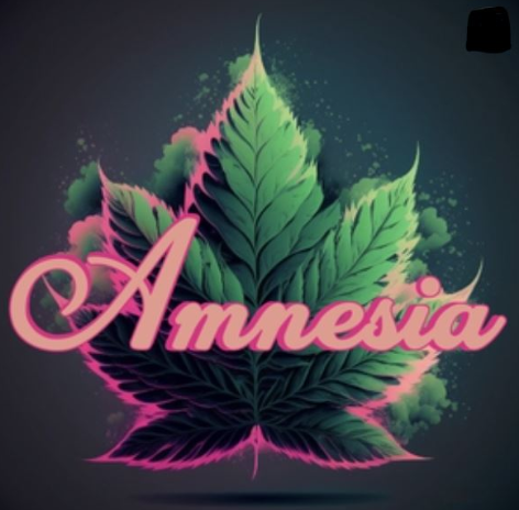 Photograph of product: Amnesia: Don Mega 1G Bubble au chocolat