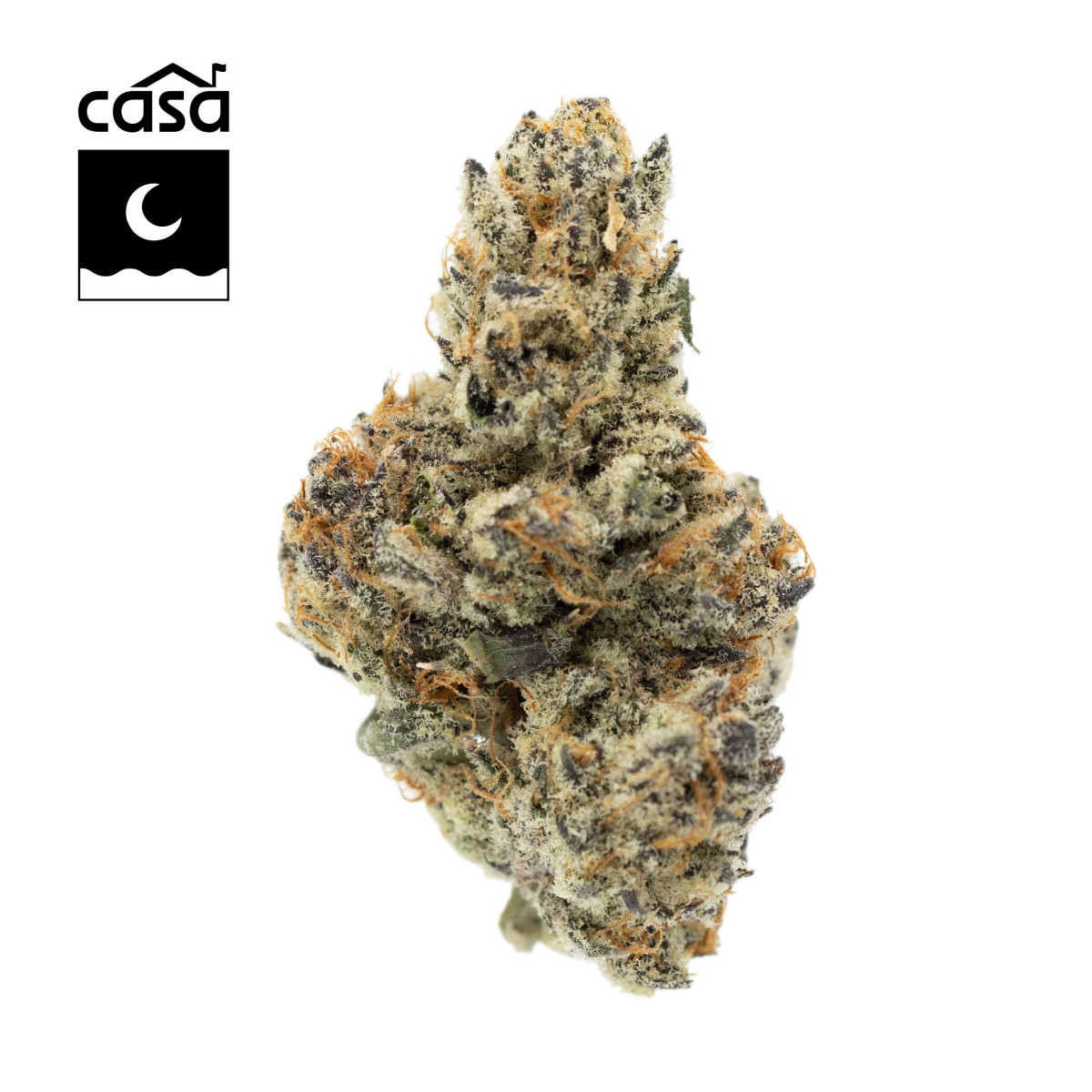 Photograph of product: Motorbreath - Buds 7g