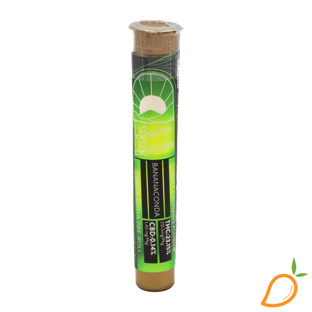 Photograph of product: 1g Bananaconda Preroll Golden Garden