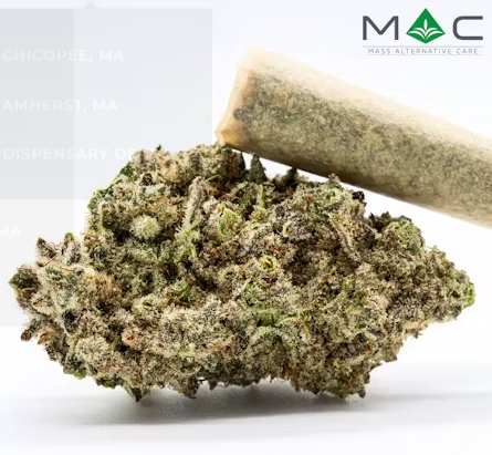 Photograph of product: Forbidden Spice Preroll