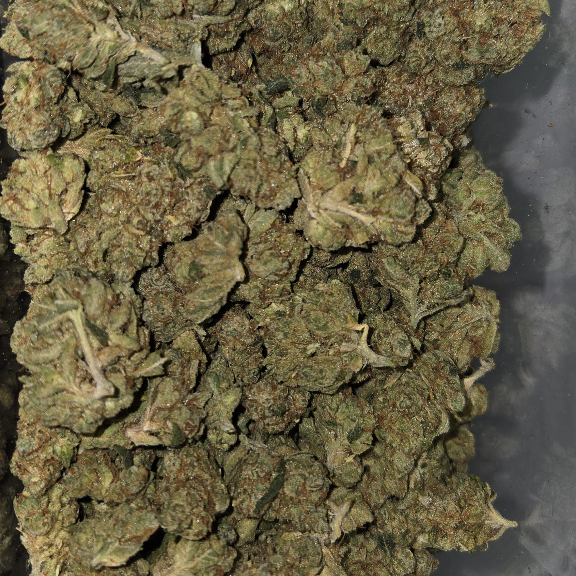 Photograph of product: Fire Tier Deli - Race Gas - 1g