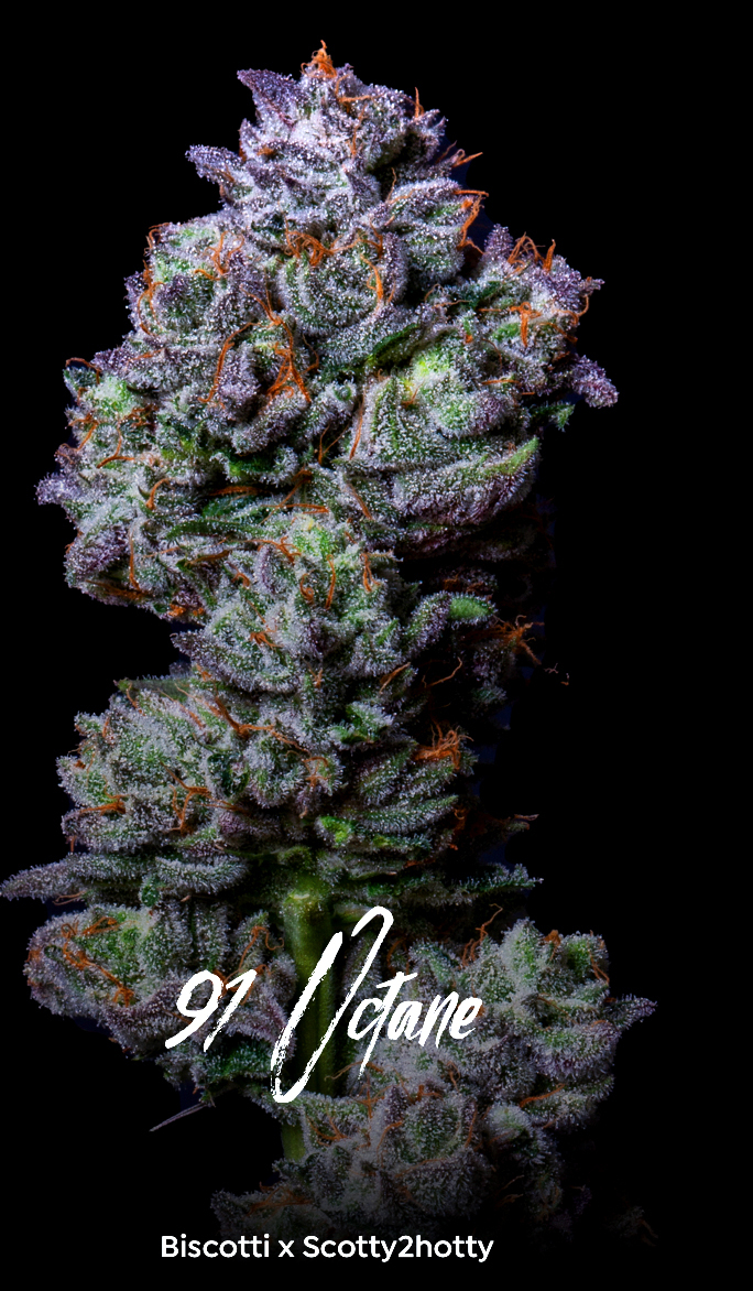 Photograph of product: 91 Octane TH-oui 27.36% - 1g