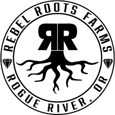 Photograph of product: Rebel Roots - Mickey Kush (High CBG) - RSO