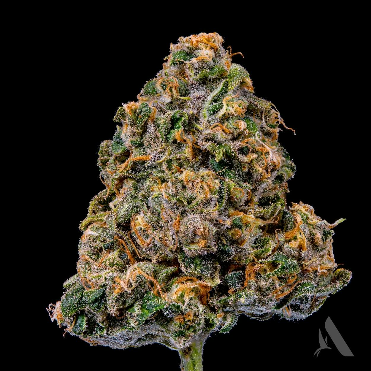 Photograph of product: Affinity Flower 3.5g Speakeasy (S)