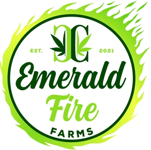 Photograph of product: Emerald Fire - 1g Infused Preroll - Guavacane