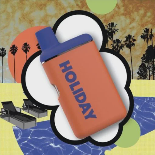 Photograph of product: Disposable | 1g | Oui'd | Leisure