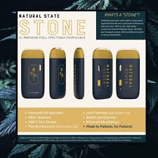 Photograph of product: Natural State Amnesia Fast 1g Stone F/S