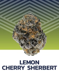 Photograph of product: Lemon Cherry Sherbert Flower - 7g