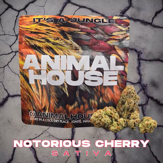 Photograph of product: Animal House | Notorious Cherry | Sunlight Assisted Indoor Flower | 3.5g