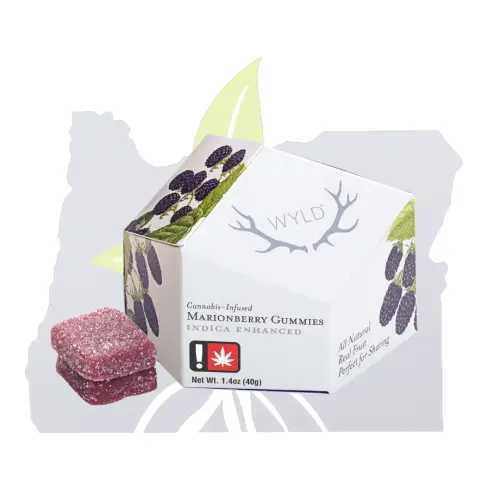 Photograph of product: Wyld-10Pk-Marionberry