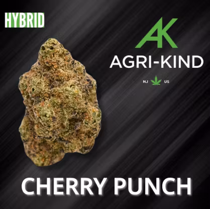 Photograph of product: Cherry Punch: Flower - 3.5g