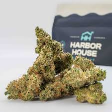 Photograph of product: Black Maple - 3.5g