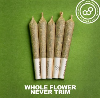 Photograph of product: OG Kush PR Minis 4971 H (5pk)(AU)