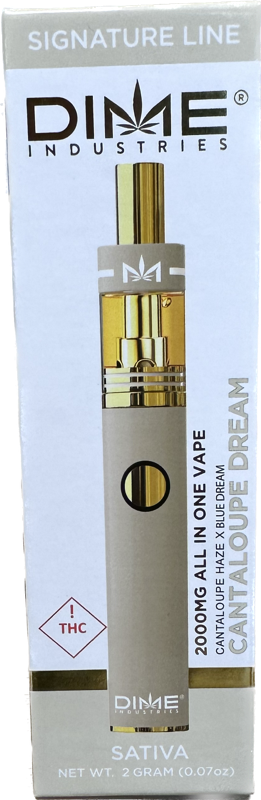 Photograph of product: Dime | Cantaloupe Dream Disposable Vape | 2g
