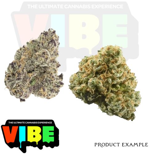 Photograph of Product: Freshy Fine | GG4 | 14g Pre-Pack | REC