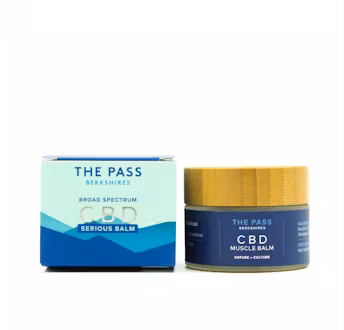 Photograph of product: Broad Specrum CBD Serious Balm | 1000mg