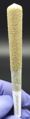 Photograph of product: Decibel LOUDs Raspberry Parfait #5