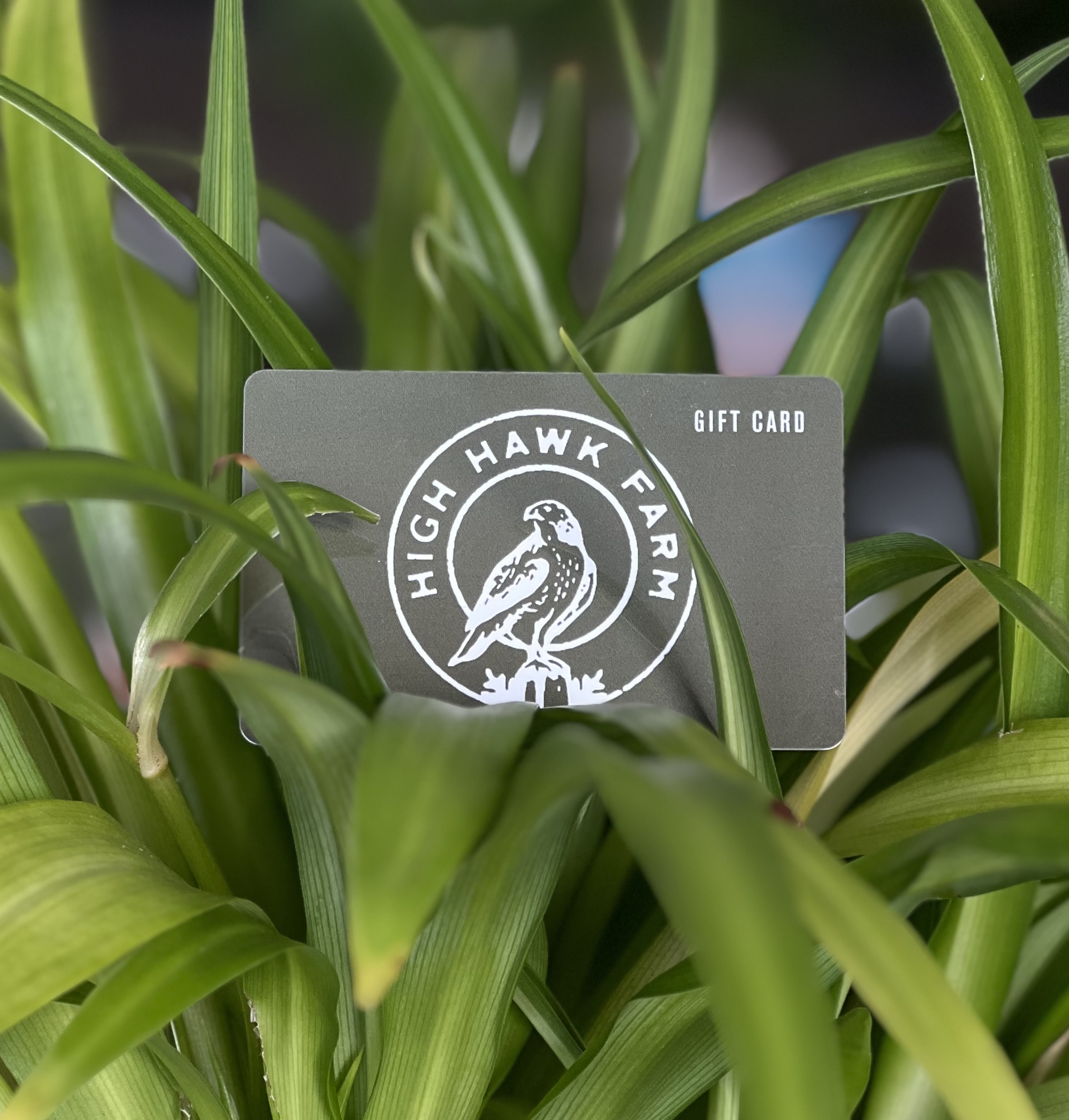 Photograph of product: Gift Card | $200