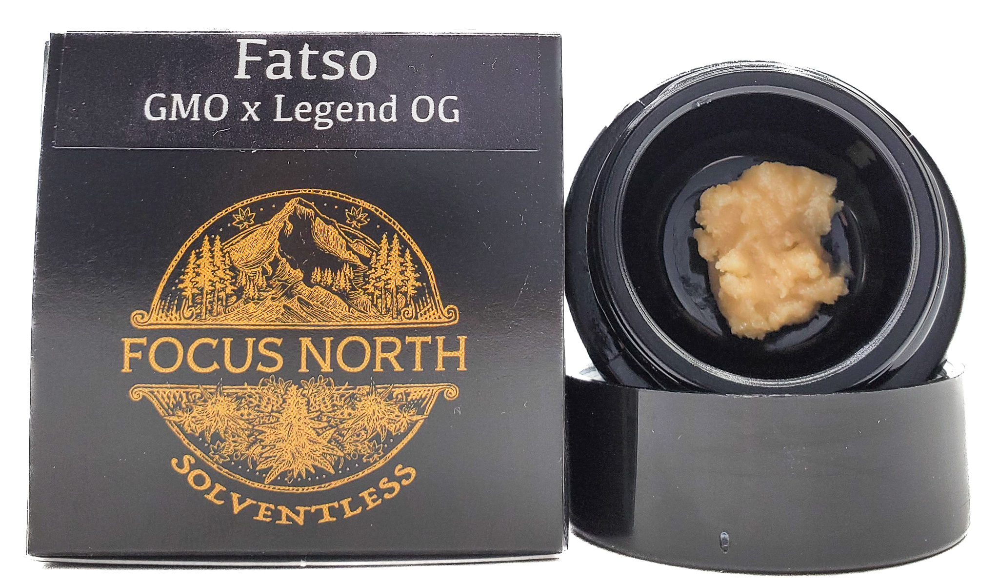 Photograph of product: Focus North | Live Rosin | Fatso