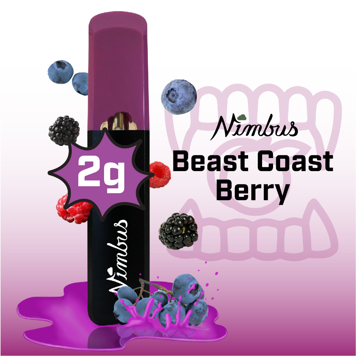 Photograph of product: Beast Coast Berry Disposable Vape