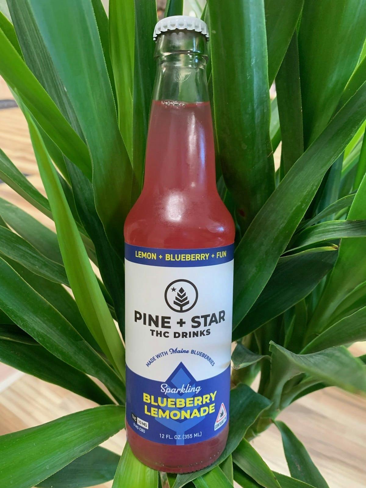 Photograph of product: Sparkling Blueberry Lemonade - 