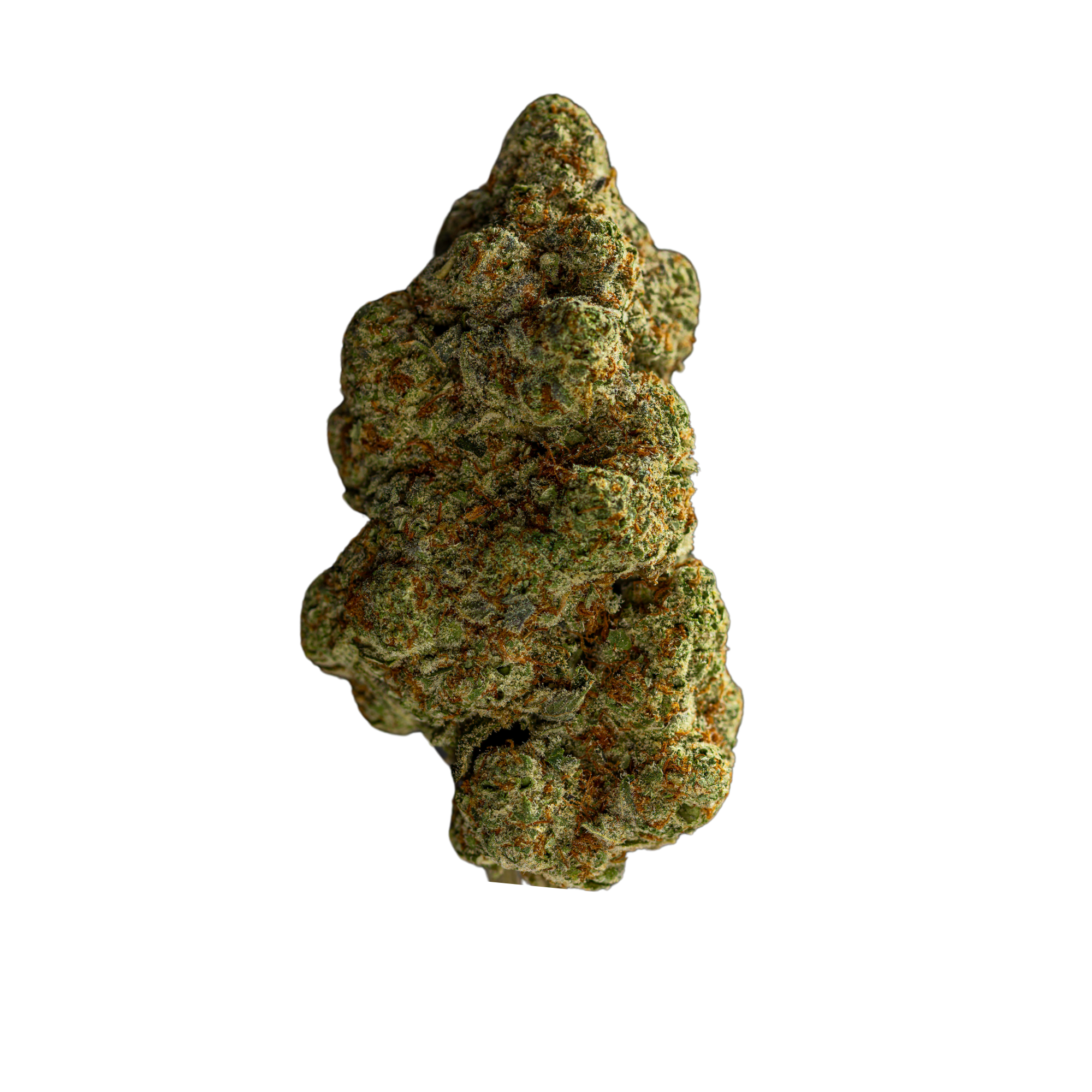 Photograph of product: MPX Select Jack Herer Flower - 3.5g