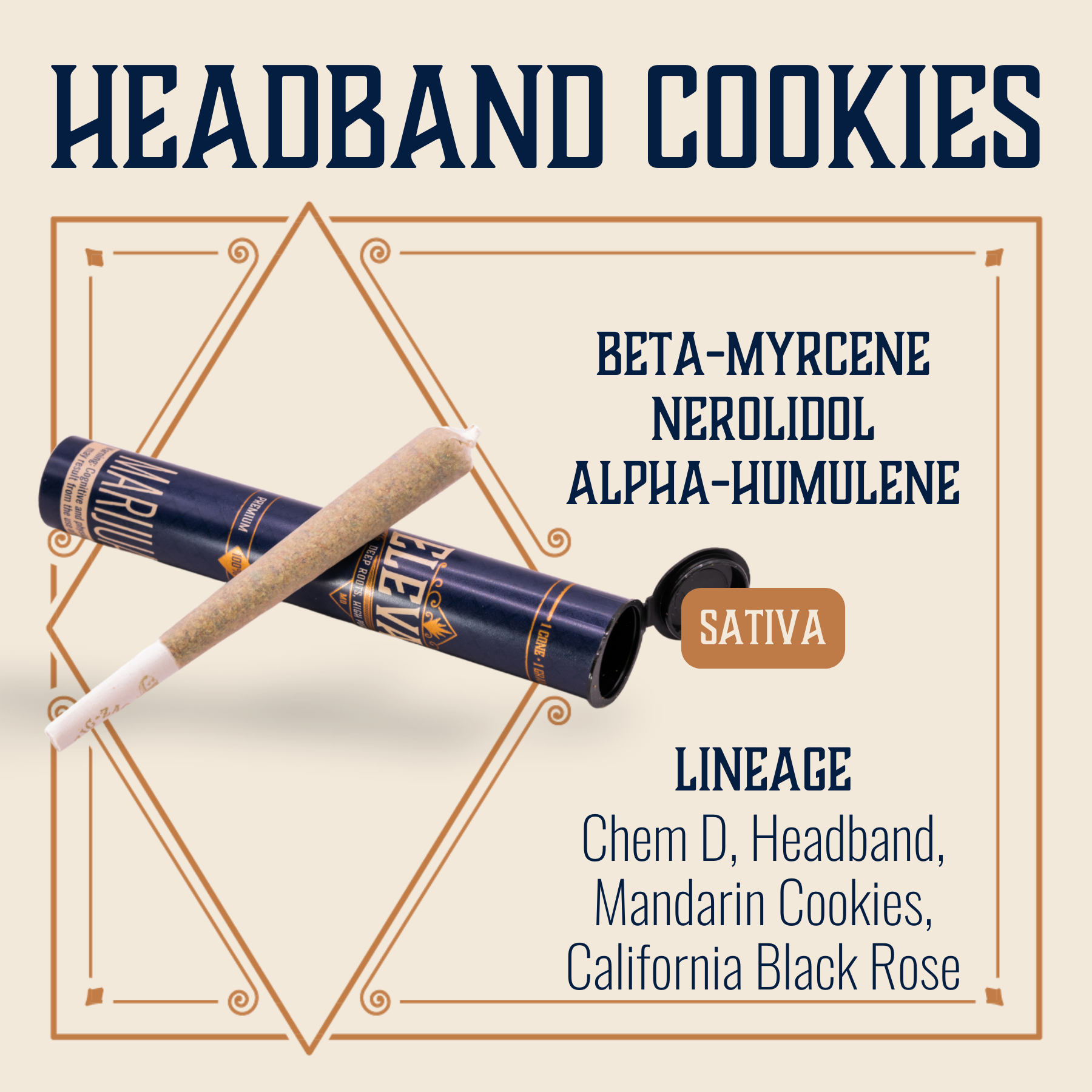 Photograph of product: Headband Cookies Preroll (1g)