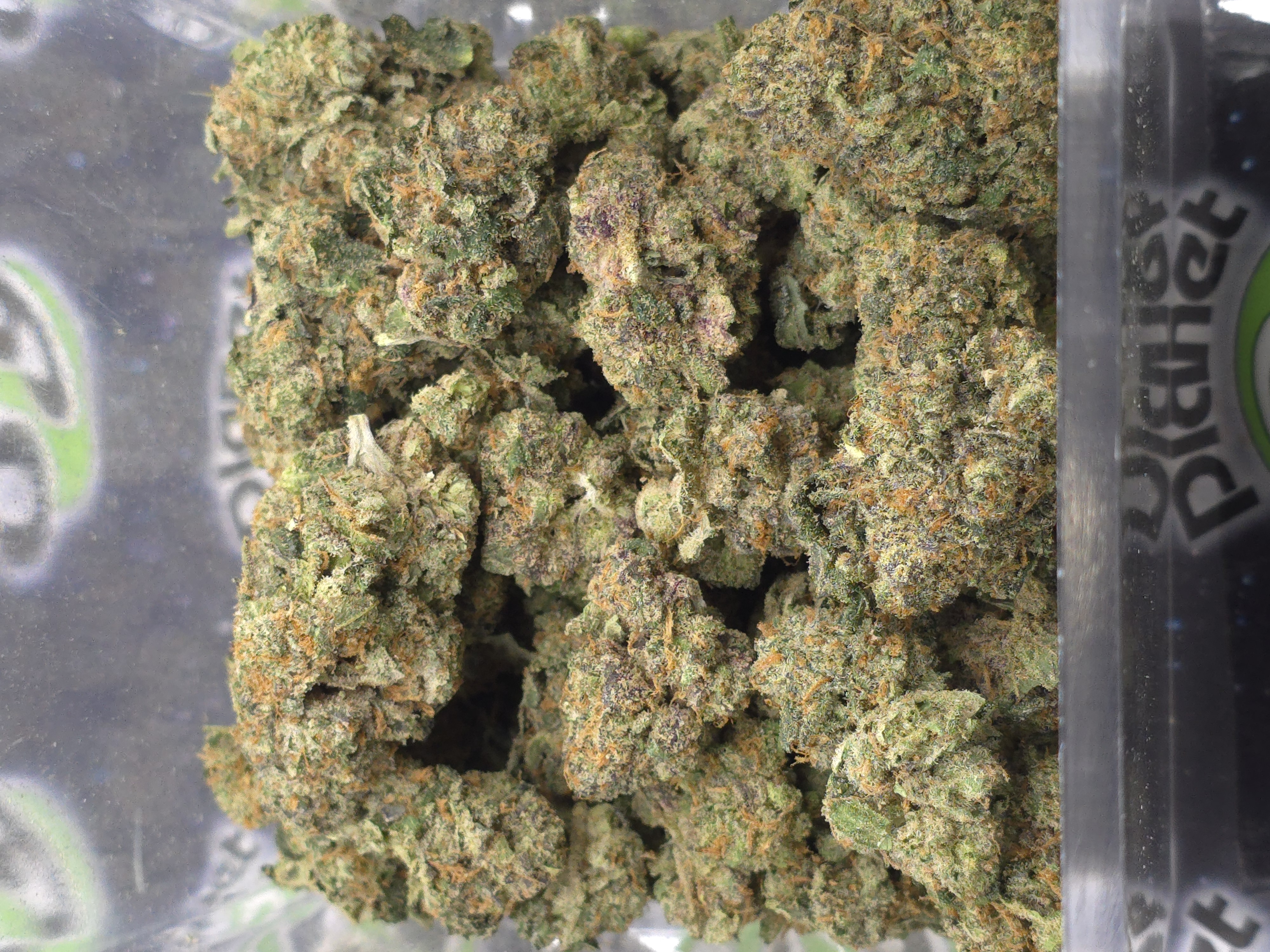 Photograph of product: Bodega | Concord Grapes Prepacked - 28g