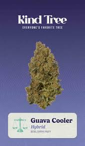 Photograph of product: Guava Cooler 3.5g-H