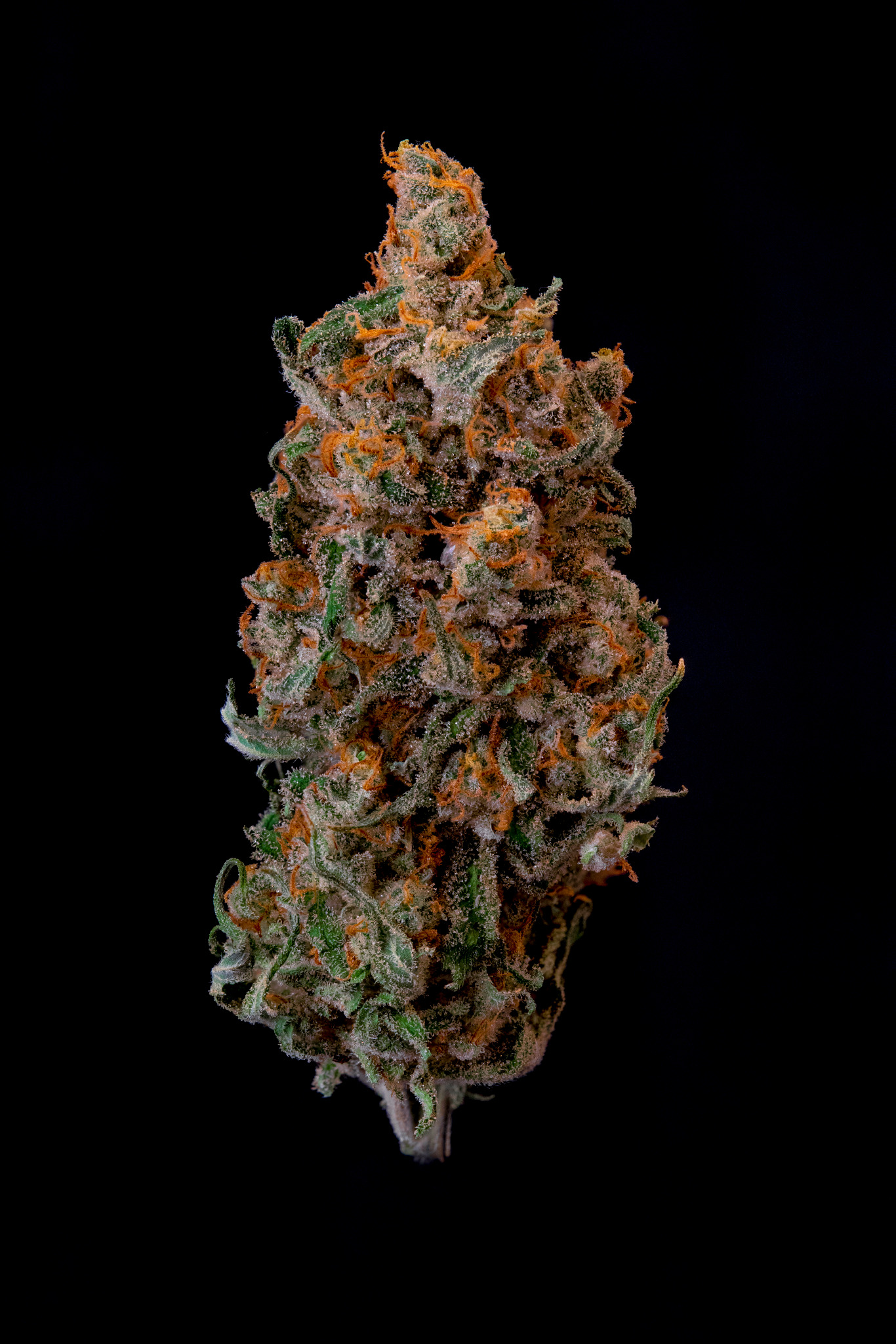 Photograph of Product: Jack Skunk | 3.5g